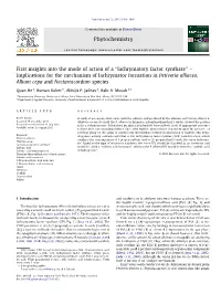 First Insights Into the Mode of Action of a "Lachrymatory Factor Synthase"
