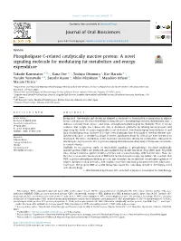 Phospholipase C-Related Catalytically Inactive Protein: a Novel Signaling Molecule for Modulating Fat Metabolism and Energy Expenditure