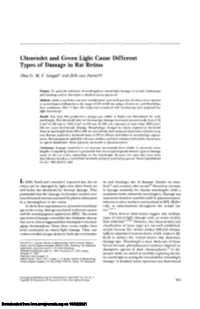 Ultraviolet and Green Light Cause Different Types of Damage in Rat Retina
