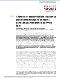 A Large Self-Transmissible Resistance Plasmid from Nigeria Contains