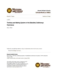 Territory and Mating System in the Bobolink, Dolichonyx Oryzivorus