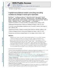 A Global Transcriptional Network Connecting Noncoding Mutations to Changes in Tumor Gene Expression