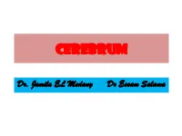 CEREBRUM (2).Pdf