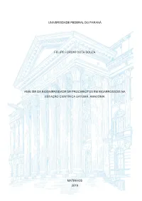 FELIPE FORONI COTA SOUZA.Pdf