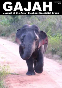 Gajah 38 (2013) 1-2