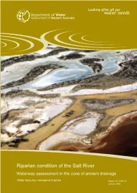 Riparian Condition of the Salt River Waterway Assessment in the Zone of Ancient Drainage