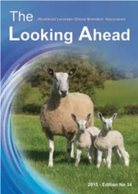 Breeding Sheep Without Compromise Bluefaced