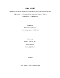 Final Report