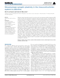 Glutamatergic Synaptic Plasticity in the Mesocorticolimbic System in Addiction