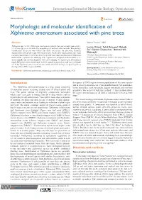 Morphologic and Molecular Identification of Xiphinema Americanum Associated with Pine Trees