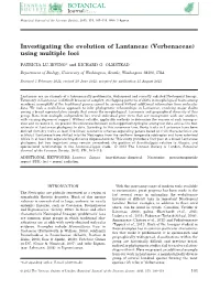 (Verbenaceae) Using Multiple Loci