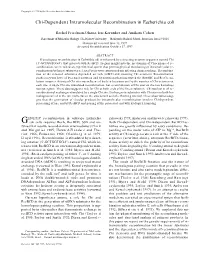 Chi-Dependent Intramolecular Recombination in Escherichia Coli