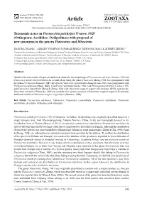 Taxonomic Notes on Pternoscirta Pulchripes Uvarov, 1925 (Orthoptera: Acrididae: Oedipodinae) with Proposal of New Synonyms in the Genera Flatovertex and Mioscirtus