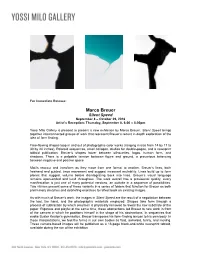 Sample Version of Letterhead