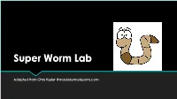 Super Worm Lab