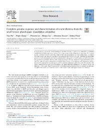 Complete Genome Sequence and Characterization of a New Iflavirus