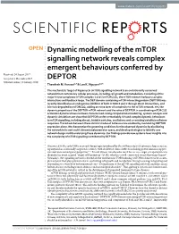 Dynamic Modelling of the Mtor Signalling Network Reveals Complex