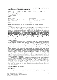 Interspecific Hybridization of Wild Gladiolus Species Using a Dendrogram Based on RAPD Analysis