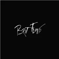Brit Floyd 2011 Tour Programme