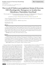 (Dactylogyridae: Monogenea) on Sorubim Lima (Siluriformes