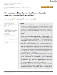 Diversity and Role of Microeukaryotic Organisms Associated with Animal Hosts