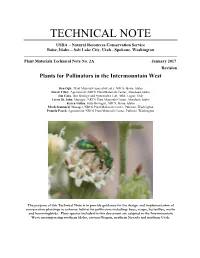 Plants for Pollinators in the Intermountain West