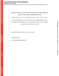Streptococcus Mitis and S. Oralis Lack a Requirement for Cdsa, the Enzyme Required For