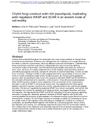 Chytrid Fungi Construct Actin-Rich Pseudopods, Implicating Actin Regulators WASP and SCAR in an Ancient Mode of Cell Motility