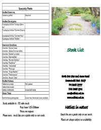 Natives in Nature Stock List