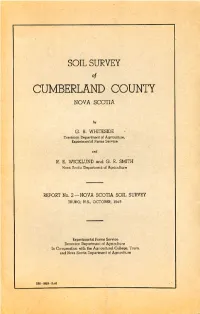 Ns17a Report.Pdf