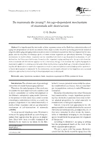 An Age Dependent Mechanism of Mammals Self Destruction