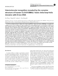 Intermolecular Recognition Revealed by the Complex Structure of Human CLOCK-BMAL1 Basic Helix-Loop-Helix Domains with E-Box DNA