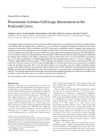 Neurotensin Activates Gabaergic Interneurons in the Prefrontal Cortex