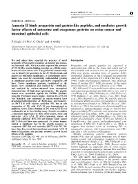 Annexin II Binds Progastrin and Gastrin-Like Peptides, and Mediates Growth