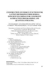 Efficient Encodings for Constraint Satisfaction Programming and Quantum Annealing