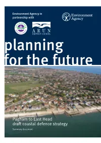 Pagham to East Head Draft Coastal Defence Strategy Summary Document Strategic Overview of the Coast