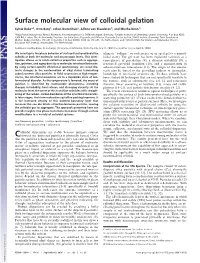 Surface Molecular View of Colloidal Gelation