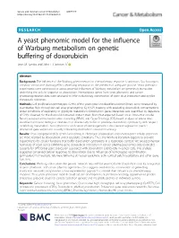 A Yeast Phenomic Model for the Influence of Warburg Metabolism on Genetic Buffering of Doxorubicin Sean M