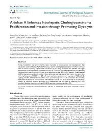 Aldolase a Enhances Intrahepatic Cholangiocarcinoma Proliferation and Invasion Through Promoting Glycolysis