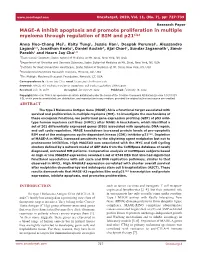 MAGE-A Inhibit Apoptosis and Promote Proliferation in Multiple Myeloma Through Regulation of BIM and P21cip1