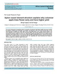 Xylem Vessel Element Structure Explains Why Columnar Apple Trees Flower Early and Have Higher Yield