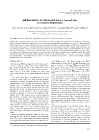 Artificial Diet for Two Flat-Headed Borers, Capnodis Spp. (Coleoptera: Buprestidae)
