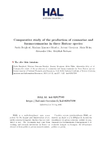 Comparative Study of the Production of Coumarins and Furanocoumarins In