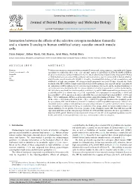 Interaction Between the Effects of the Selective Estrogen Modulator Femarelle and a Vitamin D Analog in Human Umbilical Artery V