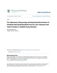 The Taphonomy, Paleoecology, and Depositional Environment Of