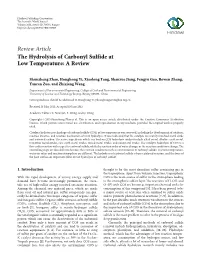 The Hydrolysis of Carbonyl Sulfide at Low Temperature: a Review