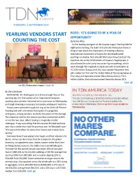 YEARLING VENDORS START COUNTING the COST That Oct