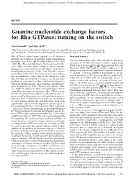 Guanine Nucleotide Exchange Factors for Rho Gtpases: Turning on the Switch