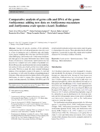 Comparative Analysis of Germ Cells and DNA of the Genus Amblyomma: Adding New Data on Amblyomma Maculatum and Amblyomma Ovale Species (Acari: Ixodidae)