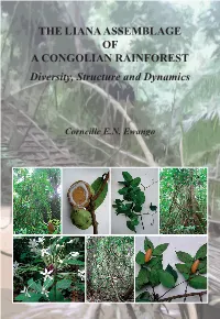 The Liana Assemblage of a Congolian Rainforest : Diversity, Structure And